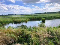 Wetering West - Weerribben